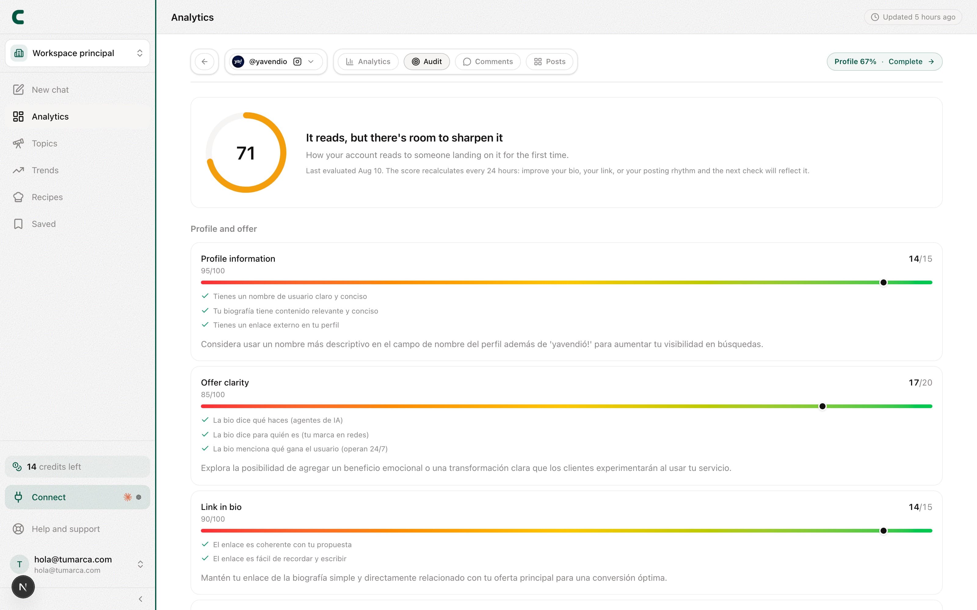 The Audit view with the score ring, the subscores and their checklist